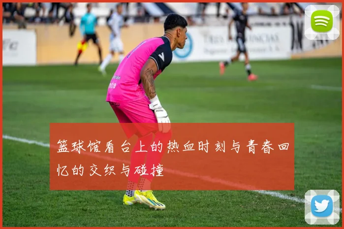 篮球馆看台上的热血时刻与青春回忆的交织与碰撞