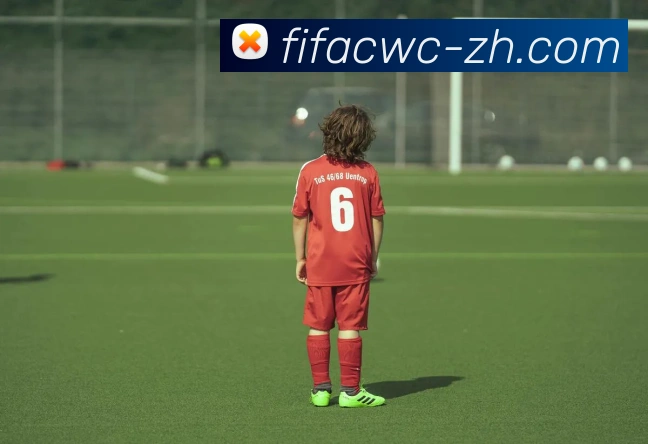 世界杯官网发展历程